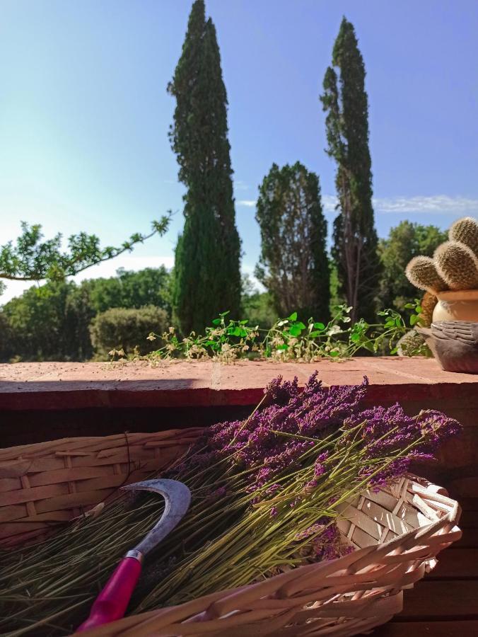 Agriturismo Podere Le Palaie Monterotondo  Kültér fotó