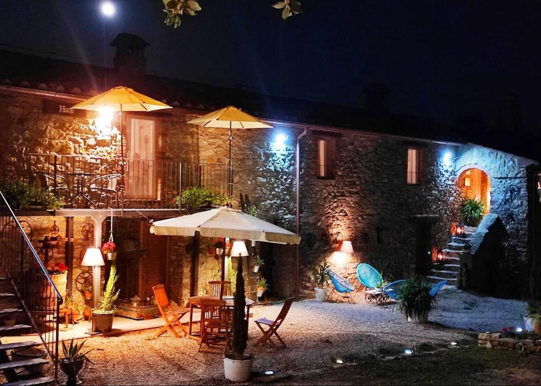 Agriturismo Podere Le Palaie Monterotondo  Kültér fotó