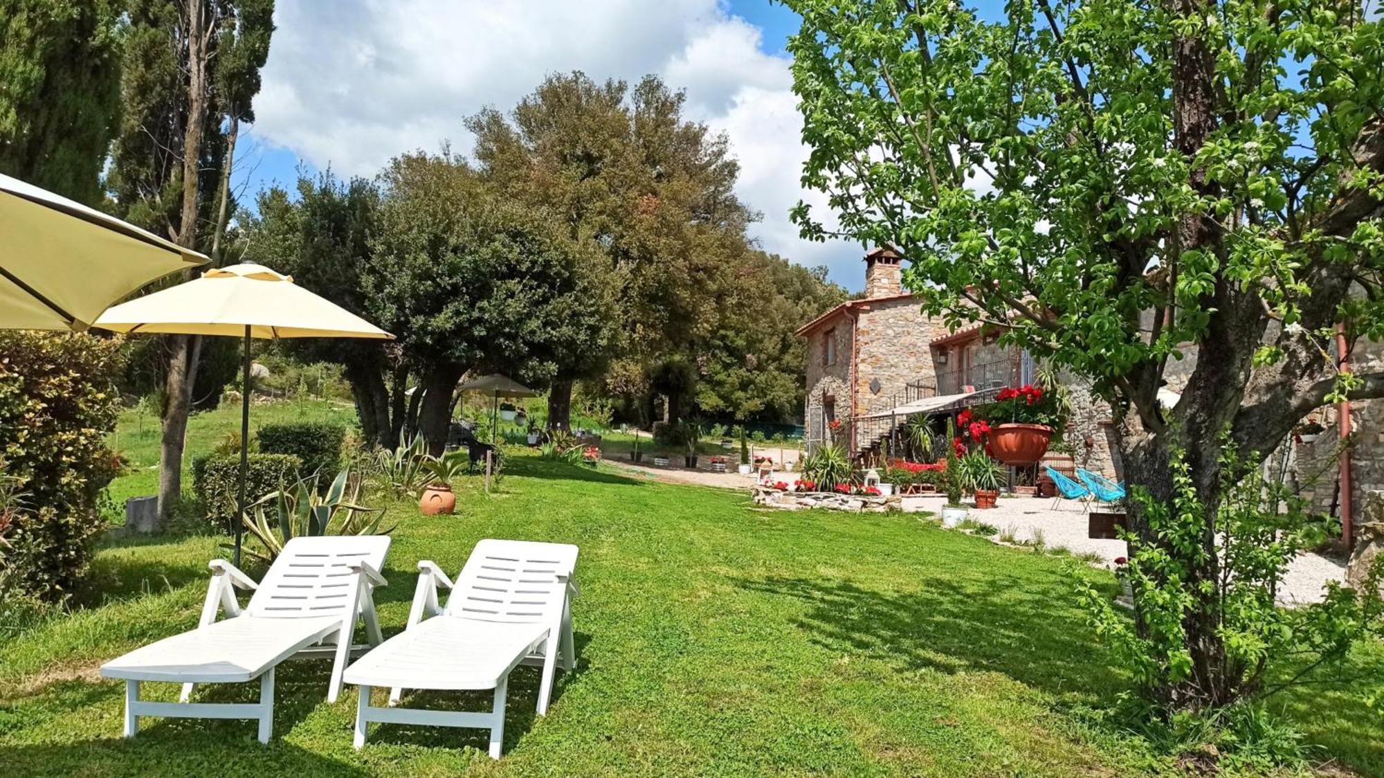 Agriturismo Podere Le Palaie Monterotondo  Szoba fotó